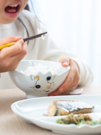 cat-hasami-wave-japanese-rice-bowl-s-musubi-kiln-quality-japanese-tablewares-and-gifts-838870.jpg