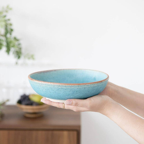 hibino-summum-mino-ware-bowl-l-musubi-kiln-quality-japanese-tablewares-and-gifts-122994.jpg